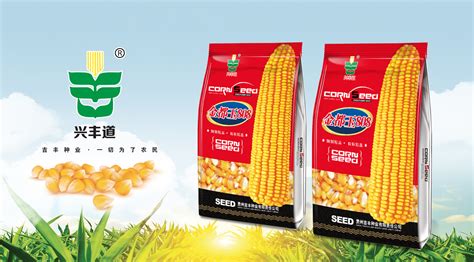 玉米种子包装|平面|包装|设计东子 - 原创作品 - 站酷 (ZCOOL)