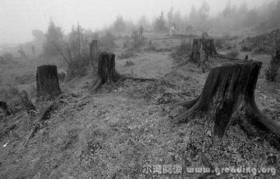森林砍伐图片_森林砍伐素材_森林砍伐高清图片_摄图网图片下载
