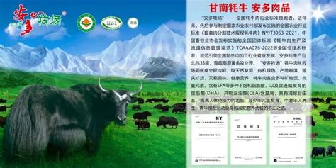 甘南藏族自治州投资与交流合作局官方网站_网站导航_极趣网