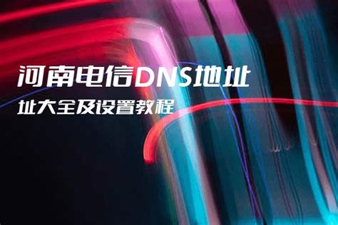 SmartDNS的正确设置方法-斐讯无线路由器以及其它斐迅网络设备-恩山无线论坛