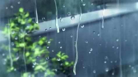 雨后的小故事GIF图片 雨后的小故事GIF图片