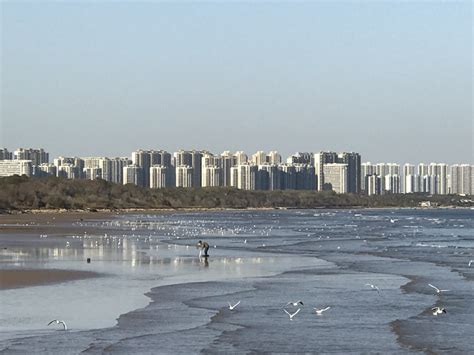 秦皇岛的海边沙滩高清图片下载-正版图片502416937-摄图网