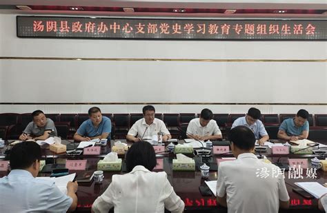 汤阴政府办中心支部召开党史学习教育专题组织生活会