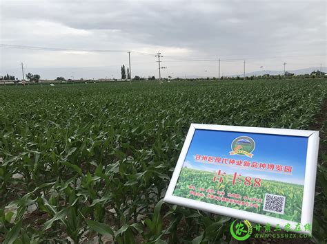 农产品小程序,支持农产品溯源与农业众筹系统,共享智慧农业微信平台开发 - 微速云