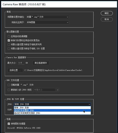 Camera Raw 14下载|Adobe Camera Raw增效工具 V14.5.0.1177 中文最新版下载_当下软件园