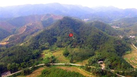 带您去看看广西博白当地的名地王氏风水宝地飞凤衔书_高清1080P在线观看平台_腾讯视频}