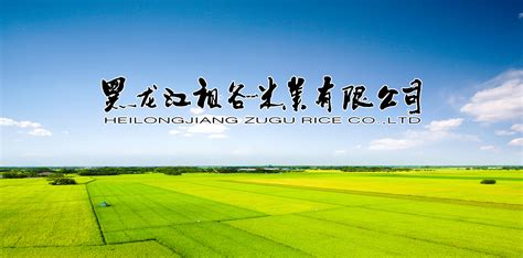 五常市明浩米业有限公司|五常大米加工|黑龙江大米厂家|五常稻花香大米