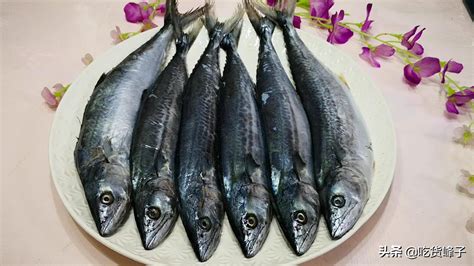 鲐鱼、鲅鱼、挪威青花鱼：如何分辨哪些是网红鲭鱼？__凤凰网