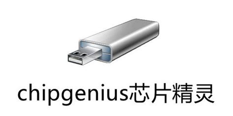 chipgenius芯片精灵绿色版v4.19.0319下载-chipgenius官方下载-深山红叶官网
