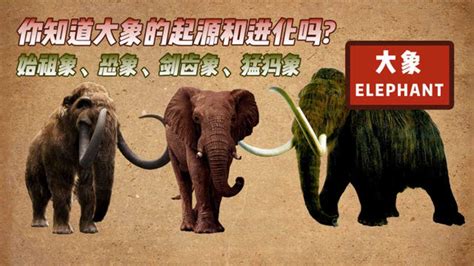 大象新闻app最新版下载-大象新闻客户端直播下载v4.3.10-游吧乐下载