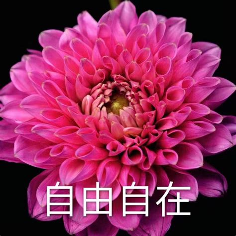 妈妈非主流照片大全头像