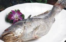 米鱼是什么鱼 - 业百科
