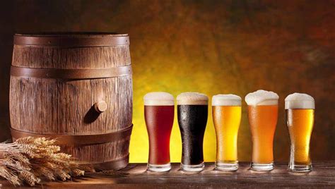 小白也能喝的精酿啤酒：IBU、酒精度数都不高-山东美拓酿造设备有限公司