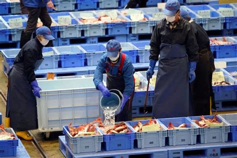 日本排放核污水，海鲜还能吃吗？ - 知乎