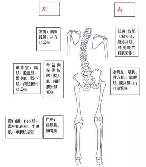 18个痛点的准确位置图图片