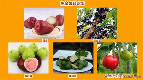 中国稀有水果,稀有水果,稀有水果图片_文秘苑图库