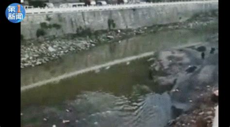 陕西4岁幼童落水挣扎，生死攸关时刻…… - 西部网（陕西新闻网）