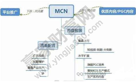 MCN机构是什么意思（MCN公司是做什么的）-行业动态-{0}