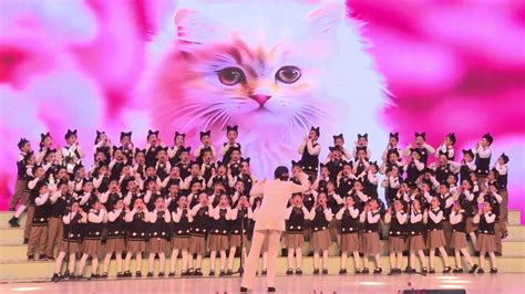 《踩到猫了》-一1一5班合唱_腾讯视频