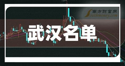 武汉上市公司名单_武汉上市企业数量(2023年08月07日) - 南方财富网