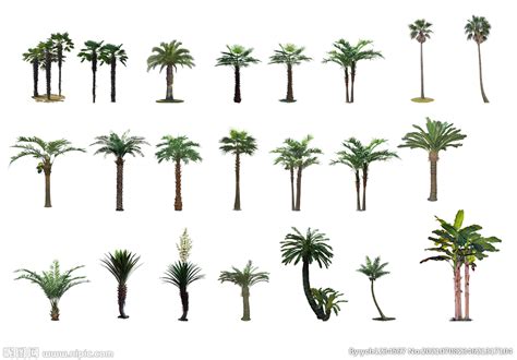 暑假背景，循环动画镜头，在明亮的蓝天上摆动热带棕榈树的树枝，闪耀着微小的星星和你的复制空间。_3840X2160_高清视频素材下载(编号 ...
