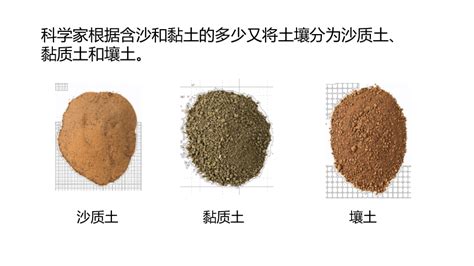 沙土粘土壤土的特点,沙土和粘土有什么特点,粘土_大山谷图库