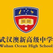武汉澳新高级中学招聘-万行教师人才网