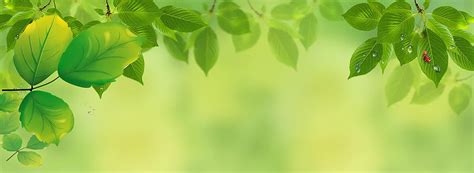 自然绿色树叶背景素材gifGIF动图900*600图片素材免费下载-编号313188-潮点视频