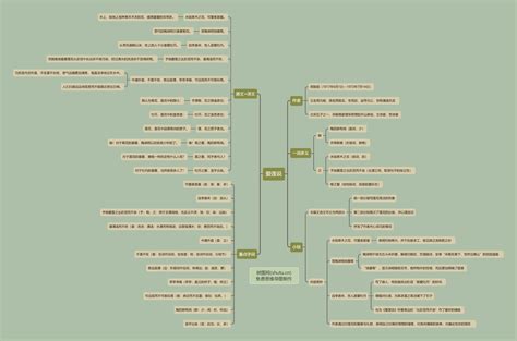 七下语文爱莲说课文  第2张