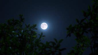 满月之夜穿过的山地路在夜晚与大月亮相伴的乡村高清图片下载-正版图片505989438-摄图网