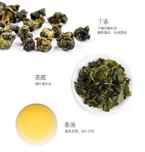 【阿里山乌龙茶】阿里山乌龙茶如何泡_阿里山乌龙茶的功效与作用及禁忌_绿茶说