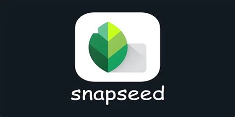 snapseed软件安装官方-snapseed官方最新版本20232.20.0.529184797 官方版-东坡下载