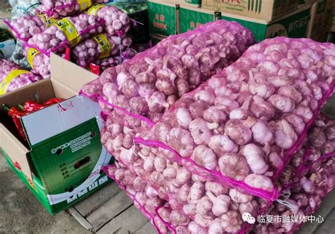 北京蔬菜供应如何？记者多路探访：供货足、卖得快、价格微涨 | 北晚新视觉
