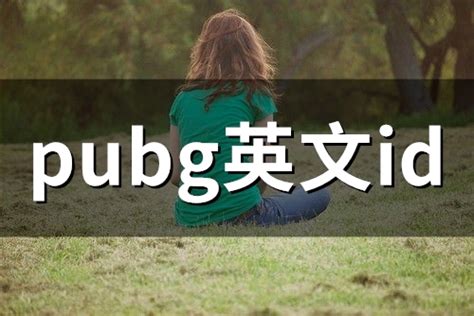 pubg英文id(精选231个)-淘名吧网