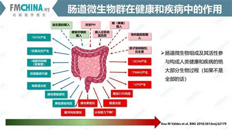 SUNKISS | 与“菌”共舞，开启“肌肤微生态”！ – 广州圣凯斯化工科技有限公司