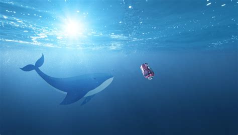 蓝鲸吃什么食物（一天5吨食物，一顿200万只磷虾，蓝鲸的胃口究竟有多大？） | 说明书网