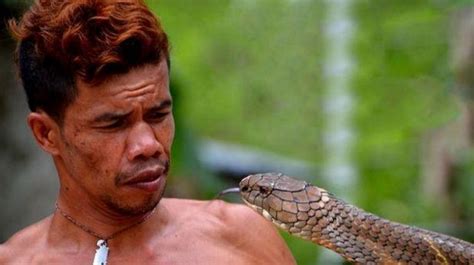 菲律宾一男子徒手捉住两条眼镜王蛇, 拔牙后当宠物养