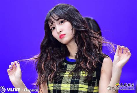 twice平井桃图片