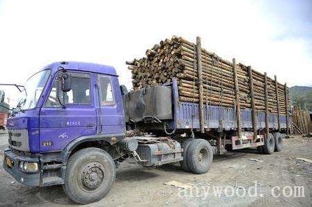 拉萨城投木材交易市场迎来首批商户入驻【批木网】 - 木业行业 - 批木网