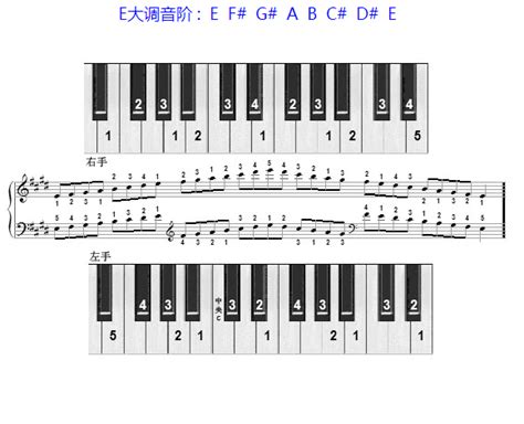 钢琴12个大调音阶和指法的图示_独木琴行