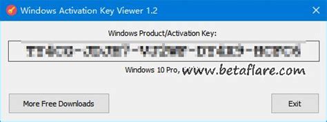 3种查看Windows电脑正版密钥的方法-软件玩家