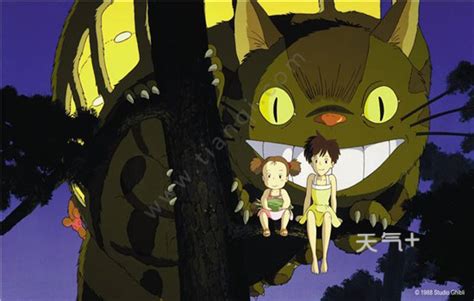 宫崎骏《龙猫》第2集：小月去上学，小梅偶然发现了大龙猫的巢穴。#动漫万粉巨星养成计划#_高清1080P在线观看平台_腾讯视频