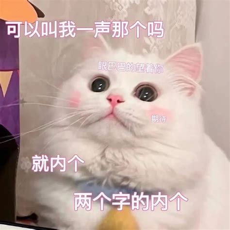 眼巴巴的表情包图片