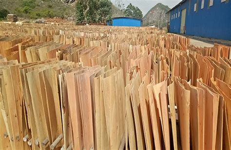 广西优质桉木建筑木模板直销