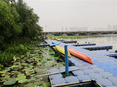 武汉后湖崛起大型生态圈 - 湖北日报新闻客户端