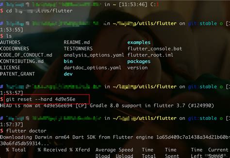 一周上手Flutter项目 - 练习&解读 - Windows版 - 知乎