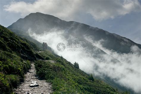森林和迷雾的景观高清图片下载-正版图片501868233-摄图网
