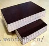 厂家直销覆膜建筑模板三胺胶全面--家具装潢_产品图片信息_中国木材网！