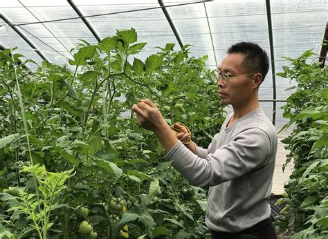 成都市中以津惠农业科技有限公司_生态循环种植养殖_生态有机农业