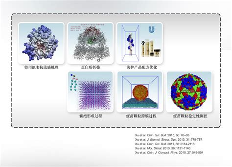 大分子分子动力学模拟软件BioMD----介科学与虚拟过程课题组